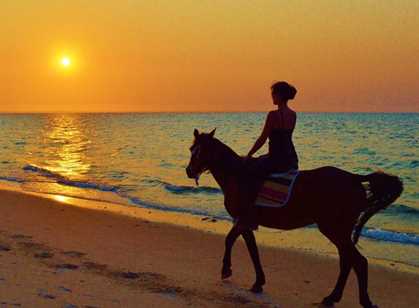 Mozambique Beach & Horse Riding